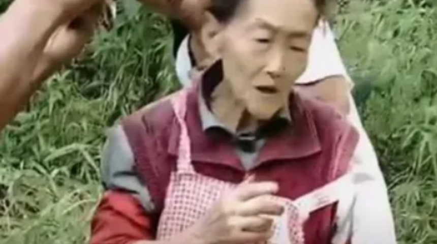 77 yaşındaki kadın kendisine saldıran yaban domuzunu etkisiz hale getirdi! Sadece tek bir alet kullandı: "Yanlış kişiyle oynadı"