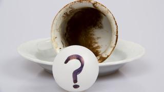 Falda kuğu görmek ne anlama gelir? Kahve falında kuğunun yorumu