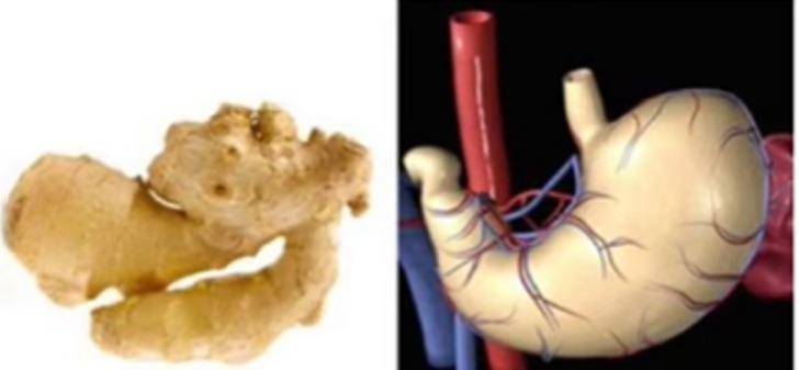 Mutfağınızdan eksik etmeyin: Benzediği organa iyi gelen 12 faydalı besin! G4