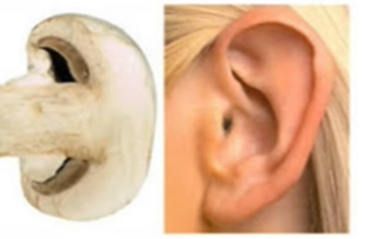 Mutfağınızdan eksik etmeyin: Benzediği organa iyi gelen 12 faydalı besin! G3