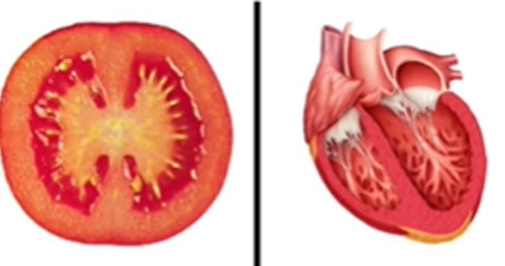 Mutfağınızdan eksik etmeyin: Benzediği organa iyi gelen 12 faydalı besin! G2