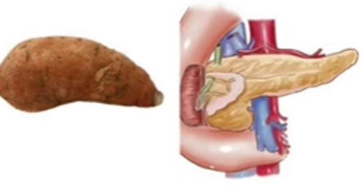 Mutfağınızdan eksik etmeyin: Benzediği organa iyi gelen 12 faydalı besin! G1