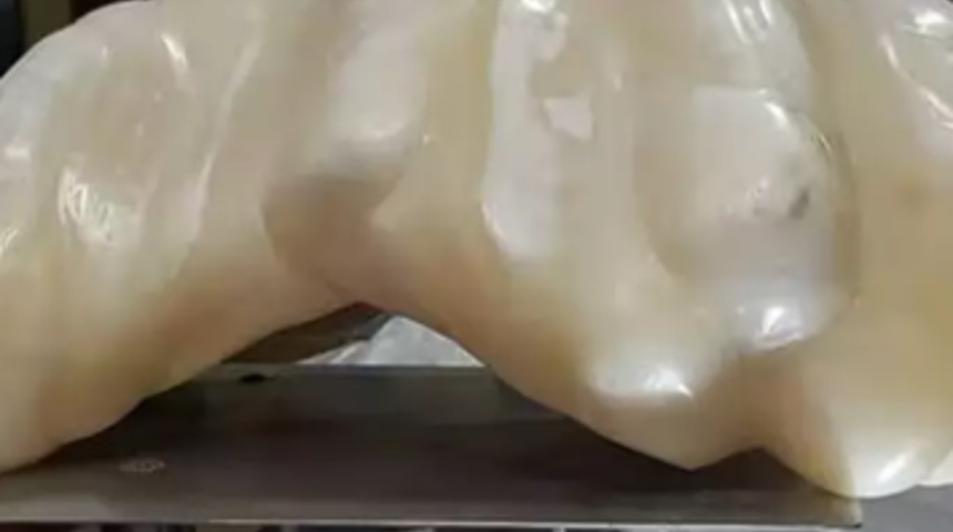 10 yıl boyunca yatağının altında 34 kg ağırlığındaki inciyi sakladı! Gerçek değerinin farkında bile değildi:  100 milyon doların üzerinde...