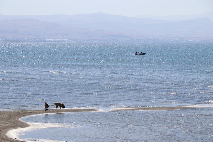 Peş peşe gelen sarsıcı haberler sonrası kayıp Rojin için korkutan ihtimal! Sayıları 100'den fazla; hepsi tek tek incelendi G5