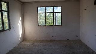 'En az 800 bin TL zararım var' Evde oturamaz hale geldiler! Birçok mahalleyi istila etti 'Aşırı çoğaldılar'