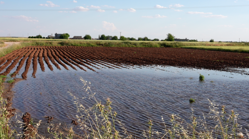 "Kaçak" belgeseli su ve elektrik israfının boyutlarını ortaya koydu! 'Her yıl Kıbrıs büyüklüğünde verimli toprağı kaybediyoruz'