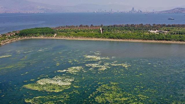 İzmir Körfezi için harekete geçildi! İşte 14 maddelik eylem planı