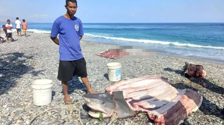 Dalış yapmak için gitmişti! Köpek balığına yem oldu... 68 yaşındaki kadının cansız bedeni köpek balığının midesinden çıkartıldı