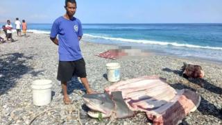 Dalış yapmak için gitmişti! Köpek balığına yem oldu... 68 yaşındaki kadının cansız bedeni köpek balığının midesinden çıkartıldı