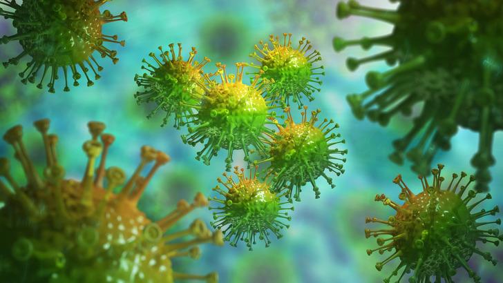 Beyin iltihabına neden olan 'tembellik' ateşi vakaları artıyor! İlk kez spermde canlı virüse rastlandı! 'Cinsel yolla bulaşma' endişesi konuşuluyor G3