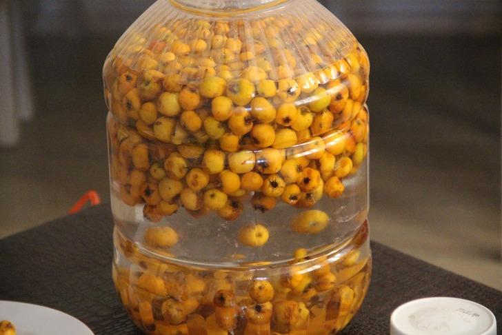 Doğada kendiliğinden yetişiyor... Adeta kalp dostu: Damarları genişletiyor, bağışıklığı güçlendiriyor! G4