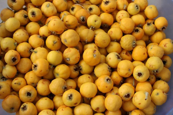 Doğada kendiliğinden yetişiyor... Adeta kalp dostu: Damarları genişletiyor, bağışıklığı güçlendiriyor! G1