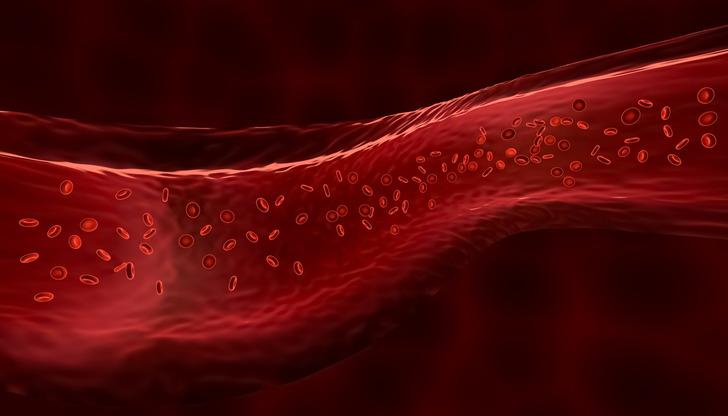 Kanamaya neden olan 'Marburg virüsü' paniği! Bir haftada vaka sayısı zirve yaptı... 13 kişi hayatını kaybetti G2