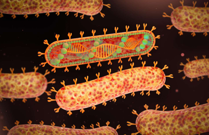 Kanamaya neden olan 'Marburg virüsü' paniği! Bir haftada vaka sayısı zirve yaptı... 13 kişi hayatını kaybetti G3