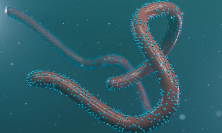 Kanamaya neden olan 'Marburg virüsü' paniği! Bir haftada vaka sayısı zirve yaptı... 13 kişi hayatını kaybetti G5