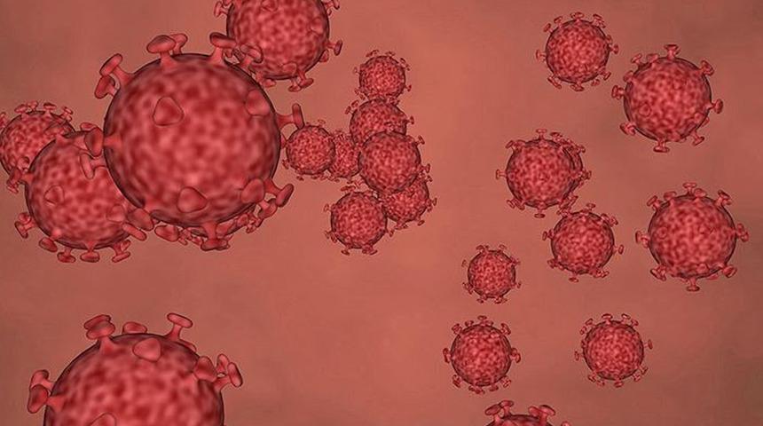 Bilim dünyası bu haberi konuşuyor! Yapay zeka kullanıldı, binlerce yeni virüs türü keşfedildi