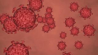 Bilim dünyası bu haberi konuşuyor! Yapay zeka kullanıldı, binlerce yeni virüs türü keşfedildi