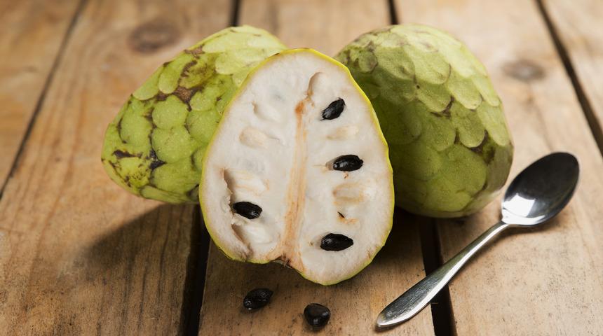 Çerimoya nasıl yetiştirilir? Çerimoya nerede yetişir, Türkiye'de yetişir mi?