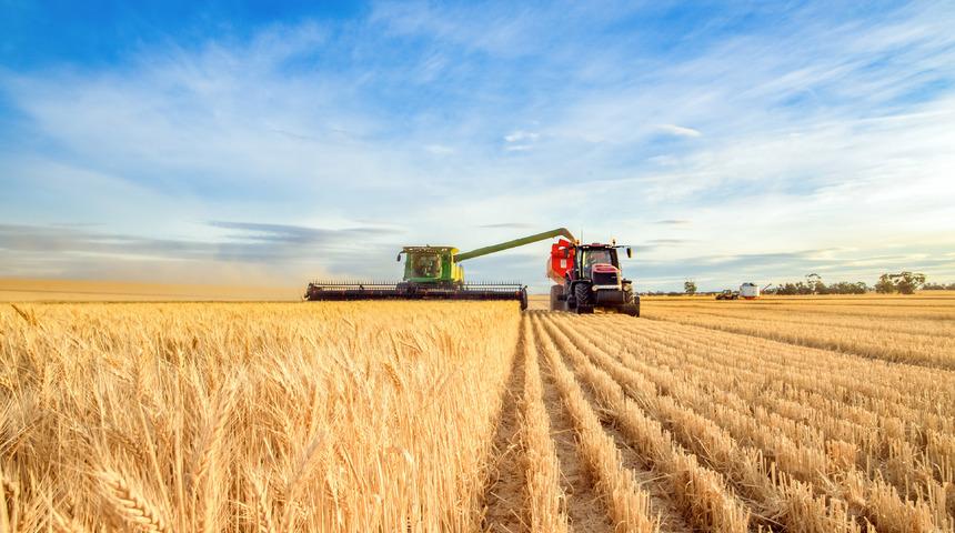 T.C. kimlik no ile mazot gübre desteği sorgulama: T.C. kimlik no ile mazot gübre desteği nasıl sorgulanır?