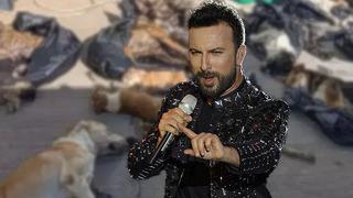 Tarkan'dan Gebze'deki hayvan katliamına sert tepki: Vicdanlarınıza yazıklar olsun!