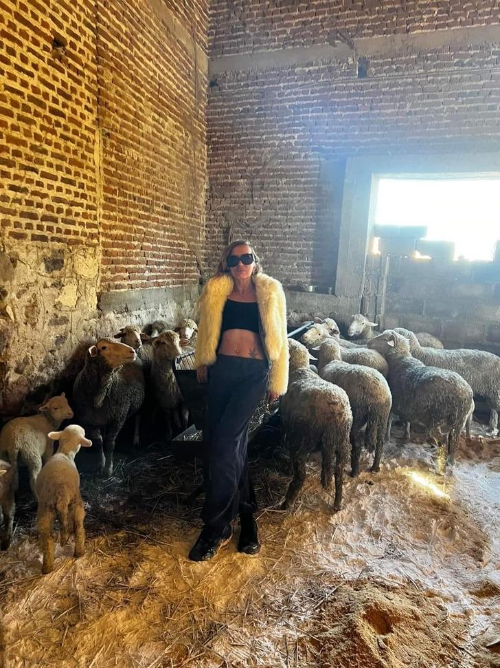 Böyle çobanı daha önce görmediniz! Modayı bıraktı şimdi 100 koyunu var... Üstelik birçok da arazi satın aldı G1