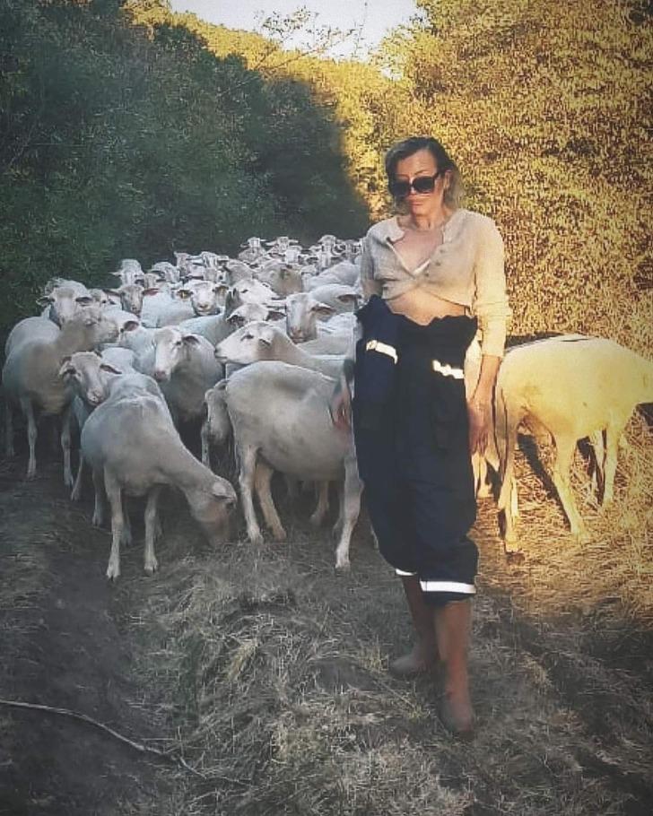 Böyle çobanı daha önce görmediniz! Modayı bıraktı şimdi 100 koyunu var... Üstelik birçok da arazi satın aldı G2