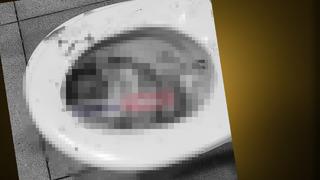 Antalya Havalimanı'nda insanlıktan utandıran görüntü... Bebeği doğurup tuvalete atmış