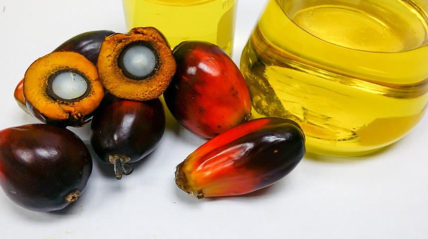 Batana yağı nedir, faydaları nelerdir? Batana yağı ne işe yarar? Batana yağının saça faydaları