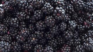 Rüyada böğürtlen yemek ne anlama gelir? Rüyada böğürtlen toplamak neye işaret ve neye yorumlanır?