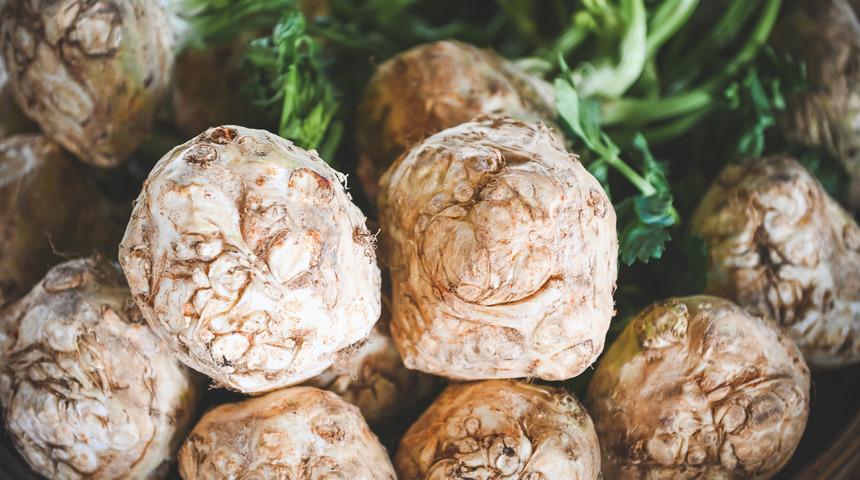 Kereviz faydaları nelerdir? Kerevizin cinselliğe ve bağışıklık sistemine faydaları