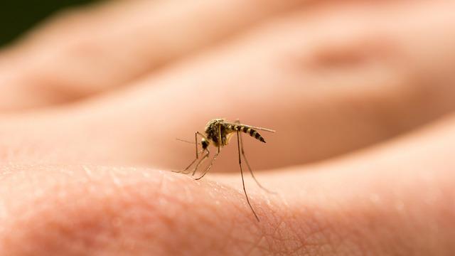 Sivrisinek ısırığına ne iyi gelir? Kolonya sivrisinek ısırığına iyi gelir mi? Sivrisinek ısırığına iyi gelen kremler neler?