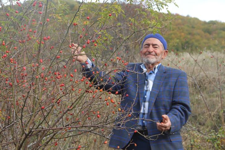 Minik şifa deposu: Fazla tüketildiğinde zehir oluyor! Bir bardak tüketen hastalık yüzü görmüyor G3