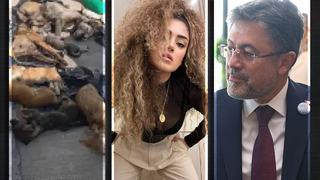 Gebze'deki katliama isyan etti! Dilan Çıtak, Bakan Yumaklı'ya böyle seslendi: Abiciğim sen uyuyor musun?