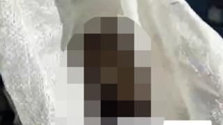 Bu kez İstanbul! Çuval içinde ölmüş köpekler bulundu