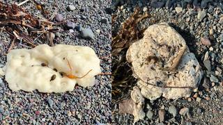 Görenin midesini bulandırdı! Kıyıda bulunan gizemli beyaz lekelere kimse anlam veremedi... Komplo teorilerini de beraberinde getirdi