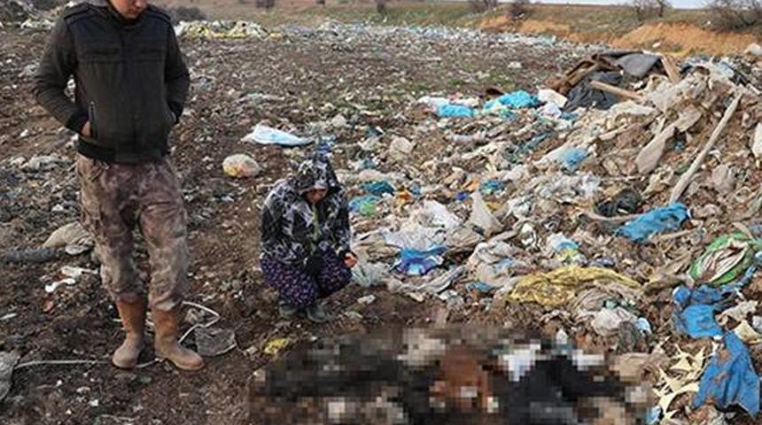 Kırklareli şehir çöplüğünde cansız halde kedi ve köpekler bulunmuştu! Soruşturma başlatıldı