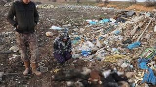Kırklareli şehir çöplüğünde cansız halde kedi ve köpekler bulunmuştu! Soruşturma başlatıldı