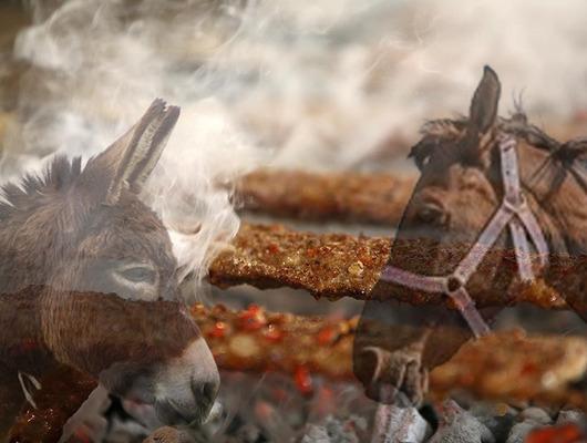 At ve eşek eti yedirmişler! Skandal listede 2 il birbiriyle yarıştı