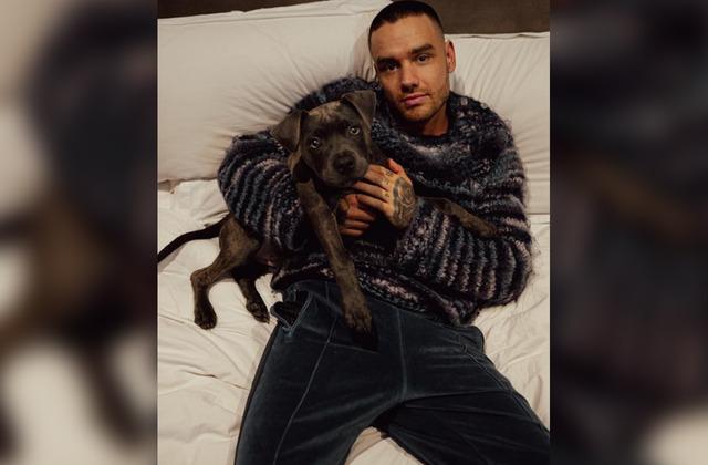 Eski One Direction yıldızı Liam Payne hayatını kaybetti! Otelin balkonundan düştü