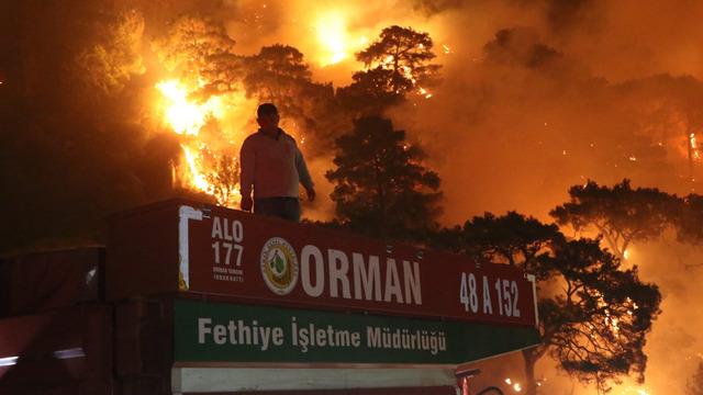 Muğla'da büyük orman yangını! 3 bölgede başladı…. 