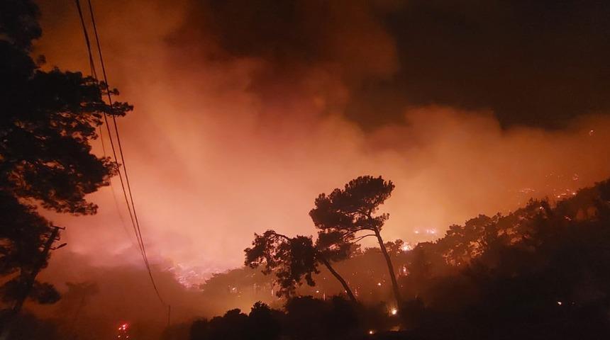 Muğla'nın Menteşe ilçesinde orman yangını çıktı