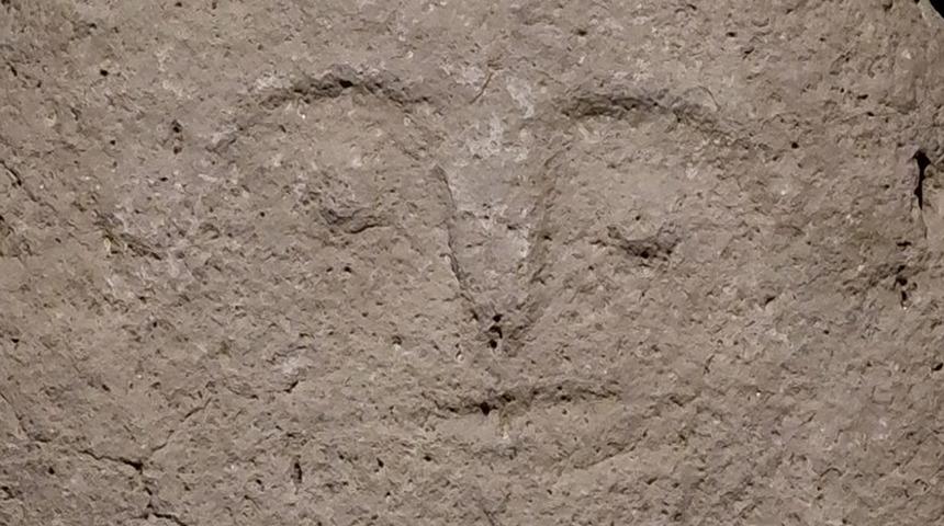 Hayvanları otlatırken fark etti! Yetkililere haber verdi... Eşi benzeri yok 'Bir ilk oldu' 