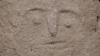 Hayvanları otlatırken fark etti! Yetkililere haber verdi... Eşi benzeri yok 'Bir ilk oldu' 