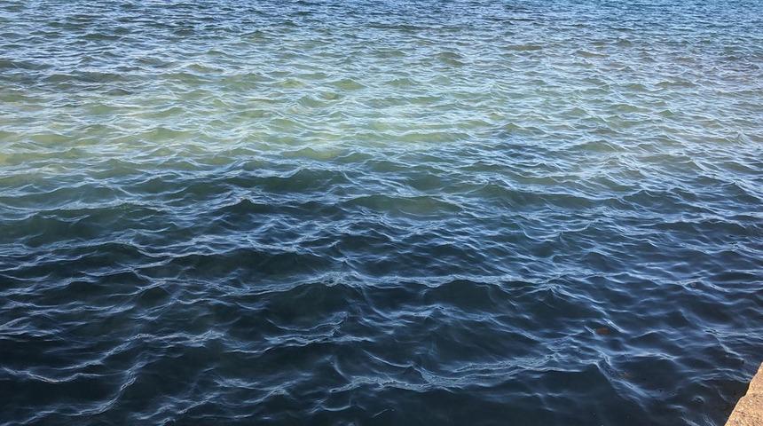 Datça’da denizin rengi değişti! Etrafı bir anda kötü kokular sardı