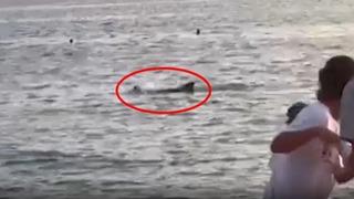 Denizde kabus dolu anlar! Bir anda herkesin gözü önünde yunus saldırdı... Anbean kamerada: Her yerimde ısırık izleri vardı