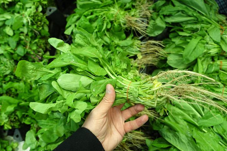 Dünyanın en sağlıklı sebzesi açıklandı: Bir bardağında bin şifa var! Kadınlara daha çok faydalı G5