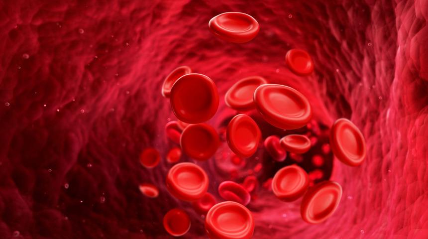 Uzman isim uyardı... Kan grubunuz pıhtılaşmaya bağlı olarak felç kalmanıza neden olabilir