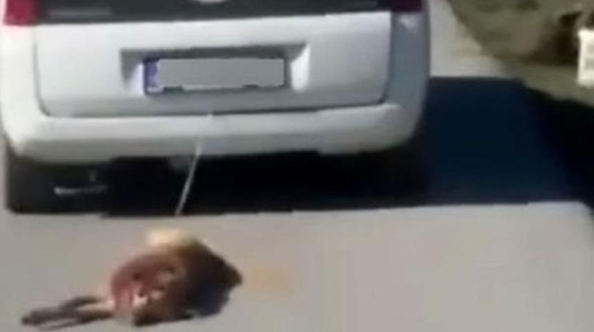 K&ouml;peğini aracın arkasında s&uuml;r&uuml;kleyen s&uuml;r&uuml;c&uuml;n&uuml;n cezası belli oldu