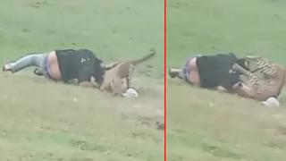 Leopar piknik yapanlara bir anda saldırdı! O anlar saniye saniye kamerada: Olayda 3 kişi yaralandı