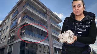 Yalova'da korkunç cinayet! Kadın girişimci, evindeki çalışanlar tarafından domuz bağıyla bağlandıktan sonra öldürüldü